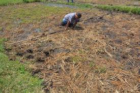 Penjelasan gunung rowo bergoyang aput mahriza, 17/01/2021. Fenomena Unik Tanah Bergoyang Di Jombang Indopolitika Com