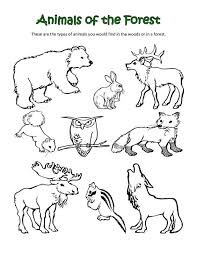 Arctic owl animal coloring page. Life Sciences Ciencias De La Vida Zoo Coloring Pages Farm Animal Coloring Pages Animal Coloring Pages