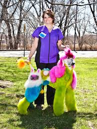 Tampa bay area pet academy. In Pet Grooming A Growing Business And A Competitive Landscape The New York Times