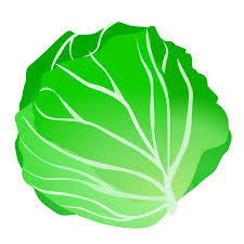 Lettuce Clipart Cartoon Lettuce Cartoon Transparent Free For Download On Webstockreview 2021 New users enjoy 60% off. lettuce clipart cartoon lettuce