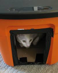 See more ideas about insulated cat house, cat house, outdoor cat house. How To Set Up An Outdoor Cat House For Pets Strays And Ferals Pethelpful By Fellow Animal Lovers And Experts