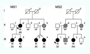 La sclerosi multipla causa proprio la demielinizzazione ossia la mielina viene distrutta o danneggiata. Sclerosi Multipla Scoperte Le Cause Genetiche Nurse Times