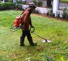 Mesin pemotong rumput adalah mesin yang digunakan untuk merajang atau mencacah rumput rumputan yang sebagai bahan pakan ternak. Tips Memilih Dan Merawat Mesin Potong Rumput Agar Awet