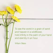 Beautiful Words About Beautiful Flowers Our Favorite Flower Poetry Proflowers Blog Flower Poetry Summer Poems Flower Poem