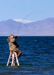 Cutthroat Trout Fishing Waders Lake Tahoe Fishing Cutthroat Trout
