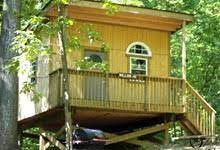 Check spelling or type a new query. Best Camping In Maryland Pet Friendly Maple Tree Campground Md