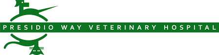 Talk to a professional today & get expert answers to your hardest questions Home Veterinarian In San Francisco Ca Presidio Way Veterinary Hospital