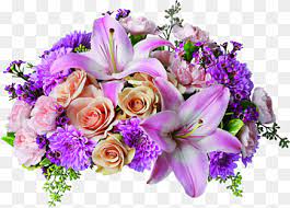 Floroom artificial flowers 25pcs real looking ivory foam fake roses with stems for diy wedding bouquets white bridal shower centerpieces arrangements party tables decorations 4.8 out of 5 stars 6,630 $12.99 $ 12. Teleflora Png Images Pngwing