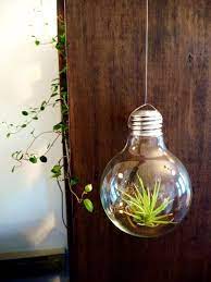 40 Original Light Bulb Aquarium Decor Ideas Bored Art Light Bulb Terrarium Light Bulb Plant Light Bulb Aquarium