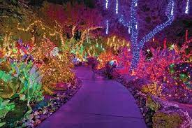 Over a million lights are on display, and it's not your ordinary christmas light display. Ethel M Chocolate Factory Ethel M Chocolates Factory And Cactus Garden Henderson Reisebewertungen Tripadvisor