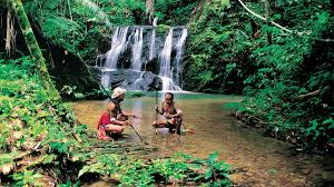 National park malaysia, jungle trekking @ taman negara pahang. 2021 3d2n Taman Negara Pahang Min 4 Ami Travel Tours