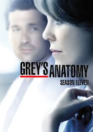 Chaque saison, grey's anatomy compte un mariage. Grey S Anatomy Saison 11 Allocine