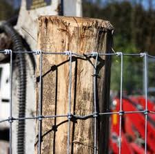 Poda Multinet Zaun Das Multinet Ist Ein Geflecht Mit Einer Besonders Engen Maschung Durch Die Fachgrossen Des Geflechte In 2020 Tierarten Gartengestaltung Huhner Zaun