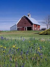 Old Red Barn With Spring Wildflowers Grangeville Idaho Usa Photographic Print Terry Eggers Allposters Com In 2020 American Barn Old Barns Country Barns