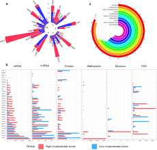 Loss of a son (also black and navy blue for loss of an older son) loss of a brother. Multi Omics Characterization And Validation Of Invasiveness Related Molecular Features Across Multiple Cancer Types Journal Of Translational Medicine Full Text