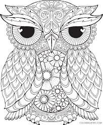 Discover our coloring pages of owls to print and color for free ! Free Owl Coloring Pages For Adults Coloring4free Coloring4free Com