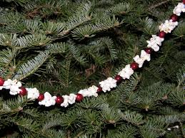 Hallmark charlie brown decking the tree popcorn string 2015 peanuts ornament. Popcorn Cranberry Strand Homemade Christmas Tree Decorations Holiday Crafts Christmas Homemade Christmas Tree