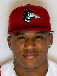 Great Lakes Loons split doubleheader with Fort Wayne TinCaps Saturday