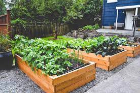 Plant a compact vegetable garden. Site Selection For Edible Gardens Seattle Urban Farm Company
