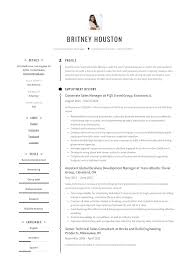corporate sales manager resume example