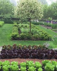 Lettuces And Willows In The Morning Mist Com Imagens Diy Jardinagem Paisagismo Horta Jardim