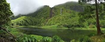 J'ai mis l'île de flores comme la réalité d'un rêve en raison de ma relation d'affection par île et par le peuple. Flores Island Azores Wikipedia