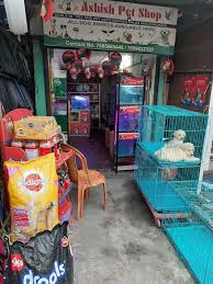 The generic exotic pet website has provided me much useful information about the breeding of lizards. Top 30 Pet Shops In Siliguri Best Pet Store Suppliers Justdial