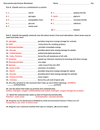 Quizlet is the easiest way to study, practise and master what you're learning. Macromolecules Review Worksheet Answer Key