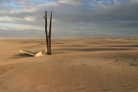 Plage De L Espiguette Au Grau Du Roi Camargue France Beach