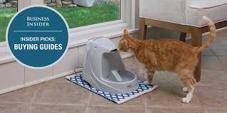 The Best Cat Fountains Cat Fountain Cool Cats Cats