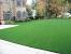 Artificial Turf Lawn