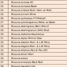 Image result for Mucuna glabrialata