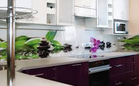 لوحات بلاستيكية للمطبخ 70 صورة تصميم وزخارف من نماذج جدارية وجدران مشذبة