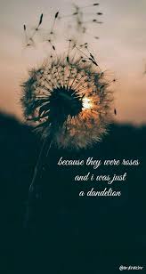 Pin On Dandelion Wall Art