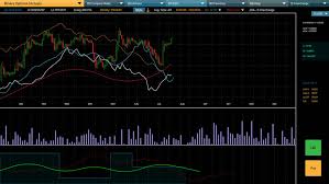 Binary Options Web Interface Asset Stock Footage Video 100 Royalty Free 25944266 Shutterstock