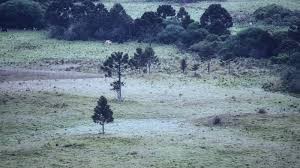 As principais notícias do brasil e do mundo em fotos. Em Pleno Verao Temperatura Chega A 5Âºc No Rio Grande Do Sul E Sc Tem Geada