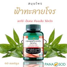 ตัวยาที่เป็นสารออกฤทธิ์ทางยาในฟ้าทะลายโจร มี 3 กลุ่ม ได้แก่ สารแอดโดรกราโฟไลด์ (andrographolide), สาร. à¸Ÿ à¸²à¸—à¸°à¸¥à¸²à¸¢à¹‚à¸ˆà¸£ à¸•à¸£à¸²à¸›à¸²à¸™à¸° à¸šà¸£à¸£à¸ˆ 60 à¹à¸„à¸›à¸‹ à¸¥ à¸£à¸°à¸§ à¸‡à¸‚à¸­à¸‡à¸›à¸¥à¸­à¸¡ à¸Ÿ à¸²à¸—à¸°à¸¥à¸²à¸¢à¹‚à¸ˆà¸£à¹à¸„à¸›à¸‹ à¸¥ à¸Ÿ à¸²à¸—à¸°à¸¥à¸²à¸¢à¹‚à¸ˆà¸£ à¹à¸„à¸› à¸Ÿ à¸²à¸—à¸°à¸¥à¸²à¸¢à¹‚à¸ˆà¸£à¹à¸— à¸Ÿ à¸²à¸—à¸¥à¸²à¸¢à¹‚à¸ˆà¸£ à¸Ÿ à¸²à¸—à¸²à¸¥à¸²à¸¢à¹‚à¸ˆà¸£ à¸Ÿ à¸²à¸—à¸°à¸¥à¸²à¸¢à¹‚à¸ˆà¸™ Lazada Co Th