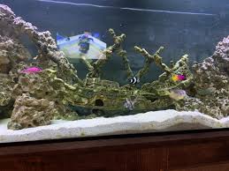 Jardin coral shaped aquarium fish tank decoration ornament, pink. Anyone Done Shipwreck In Tank Reef2reef Saltwater And Reef Aquarium Forum