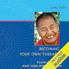 The Five-Minute Buddhist's Buddhism Quick Start Guide Audiobook by Brian  Schell