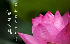 第三世多杰羌佛佛號說明 學習多杰羌佛第三世正法 plants rose flowers