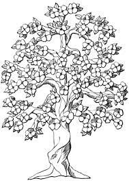 Fall trees coloring page at primarygames free fall trees coloring page printable. Trees Coloring Pages Coloring And Drawing