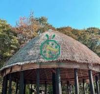 Fiji Tiki Hut Thatched Roof wholesale,Fiji Tiki Hut Thatched ...