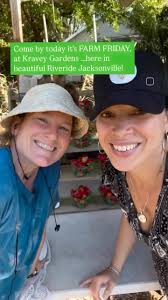 It’s FARM FRIDAYS again 10a-3p here at our urban farm @kraveygardens 🫶  2529 Ernest Street, Jacksonville 32204 (Riverside)… We have our delicious  spring bounty and sooo many NEW items to add to your ...