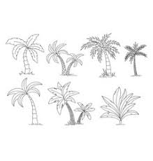 Palm coloring pages are immediately transferred to warm regions to the blue sea and the hot sun. Tree Coloring Vector Images Over 170 000