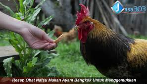 Download now gambar kartun animasi keren free transparent png download. Pin Di Sabung Ayam Online