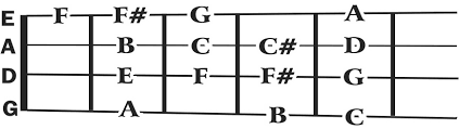 build your own chords on the fiddle or mandolin native ground