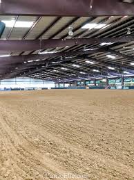 Things to do in decatur, texas: Dallas Day Trip What To Do In Decatur Tx Carrie Elle