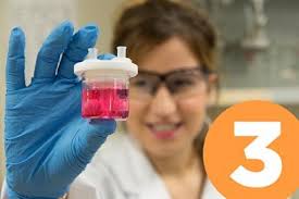 21st Annual Alberta Biomedical Engineering Conference Program and  Proceedings