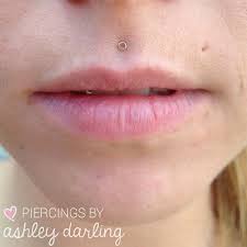 Ashley Darling On Instagram Healed Philtrum With A Solid Yellow Gold Disk From Bodygems Piercingsbyashleydarling Philtrum Piercing Dimple Piercing Philtrum