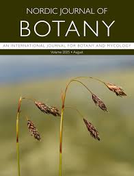 Image result for Cyperus mapanioides